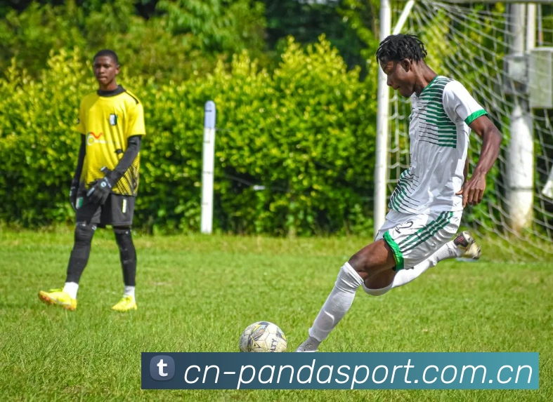 熊猫体育APP 封面图